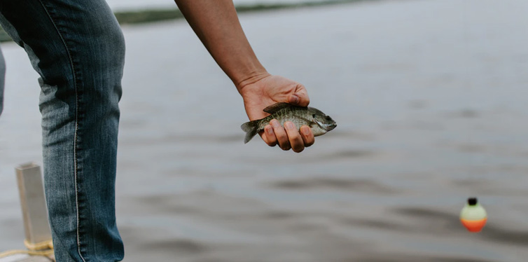 man holding a fish in his hand