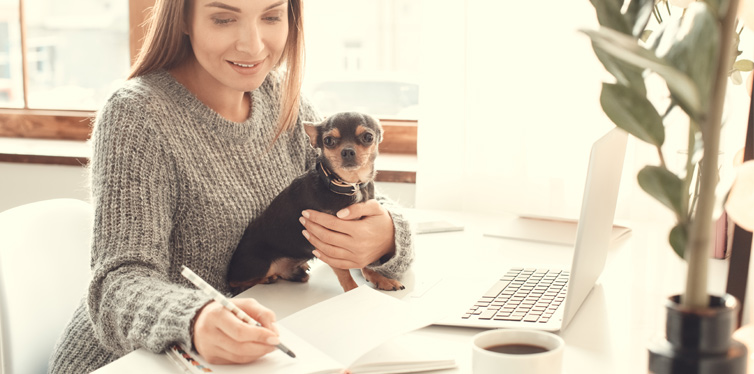 bring your dog to work