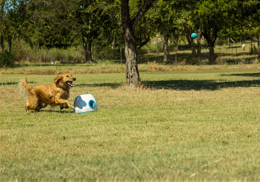 ifetch too replacement battery