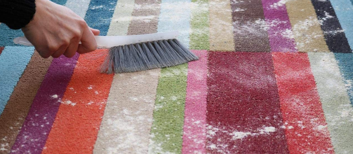 Best Carpet Powders In 2022 [Buying Guide] Gear Hungry
