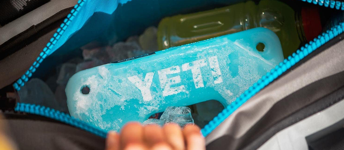 best ice packs for air travel