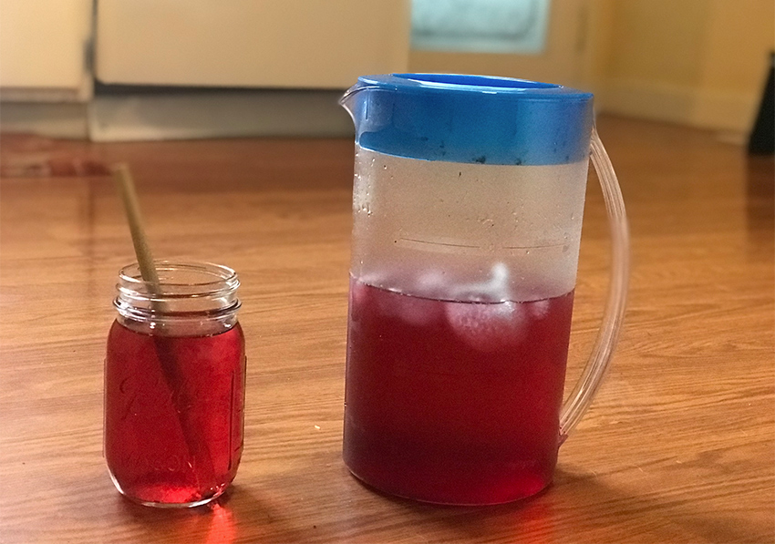 mr. coffee tm75 iced tea maker