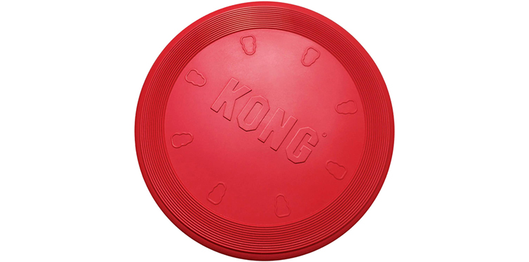 Kong Flyer dog frisbee