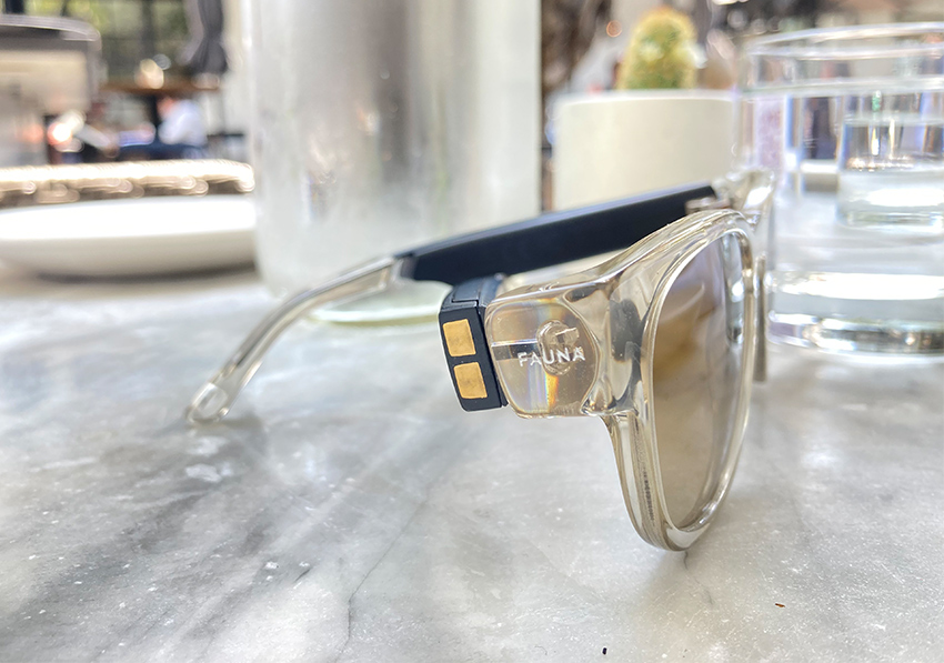 fauna spiro sunglasses 