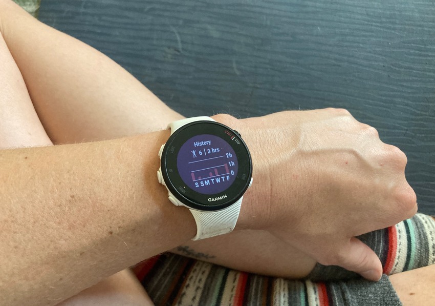 garmin 45 s