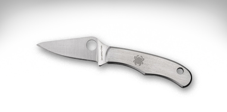 the diminutive spyderco bug
