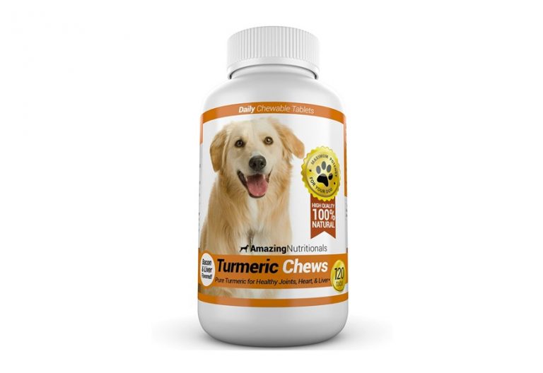 The Best Dog Joint Supplements to Keep Your Pet Moving Gear Hungry