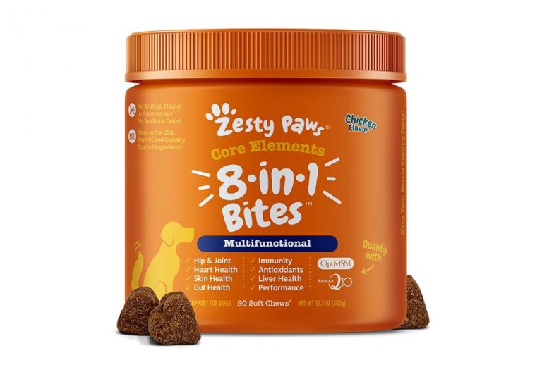 The Best Dog Joint Supplements to Keep Your Pet Moving Gear Hungry