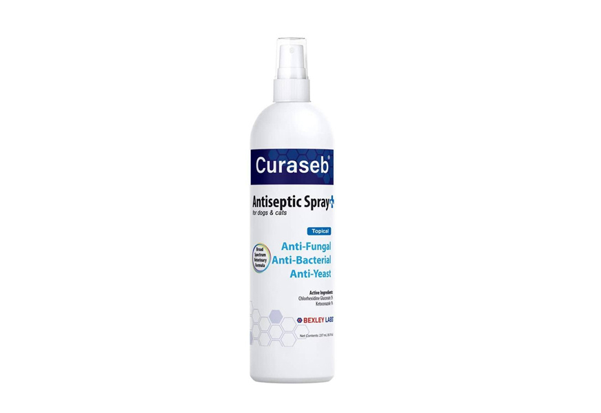 curaseb edicated chlorhexidine spray for dogs