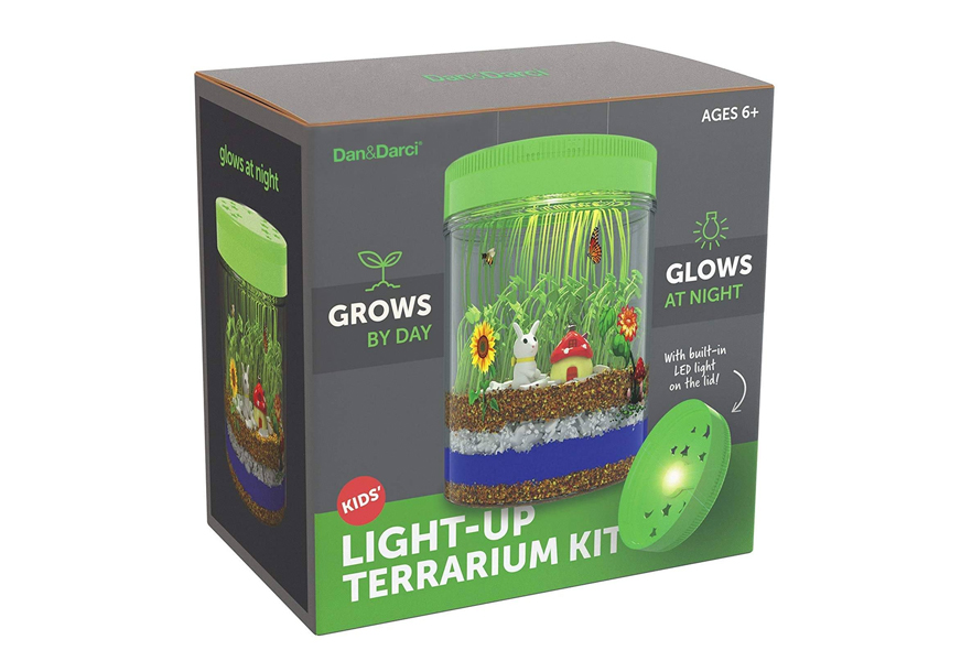 dan&darci light up terarrium kit