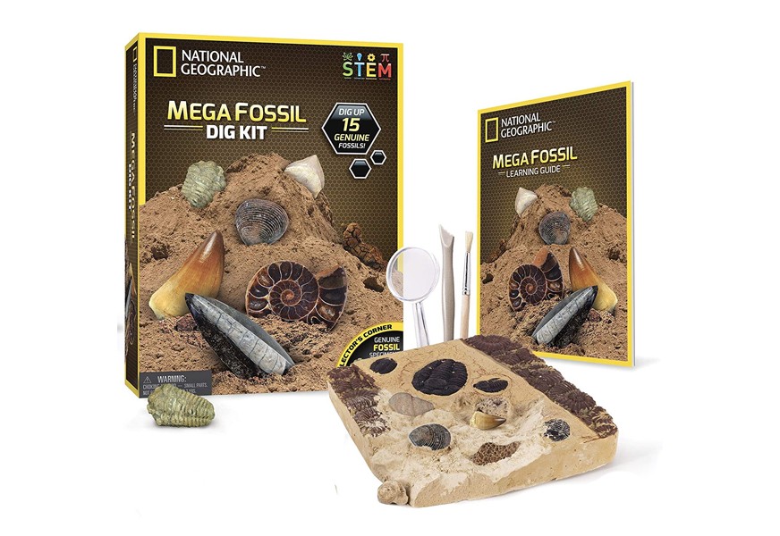 national geographic mega fossil dig kit