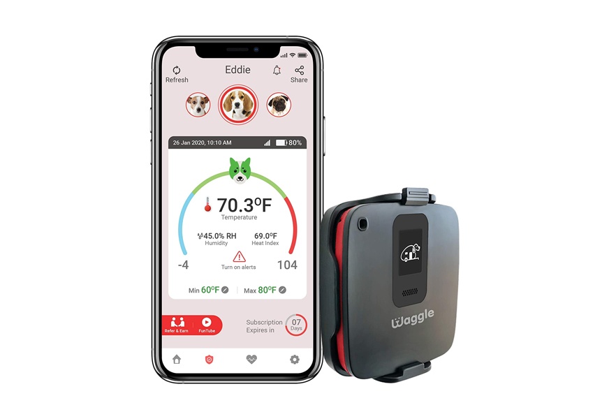 waggle pet monitor 4g