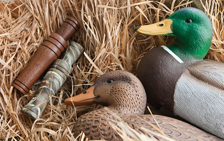 duck calls faq