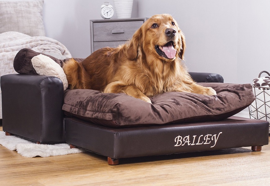 moots personalized sofa cat & dog bed