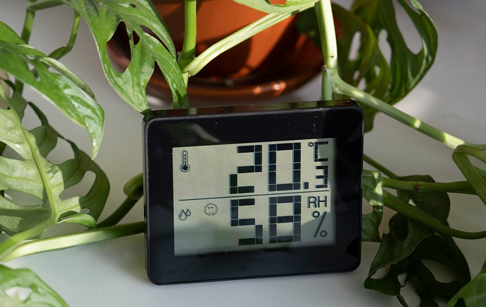  VIVOSUN Indoor Outdoor Thermometer Wireless Digital