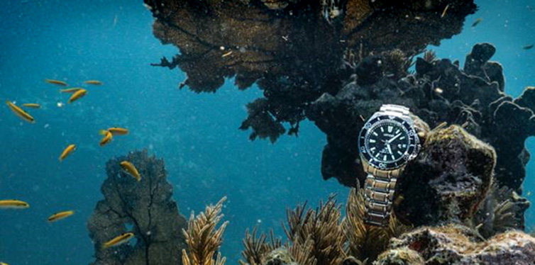 dive watches