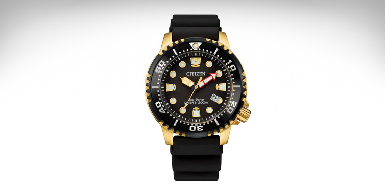 promaster -diver men's watch bn0152 06e