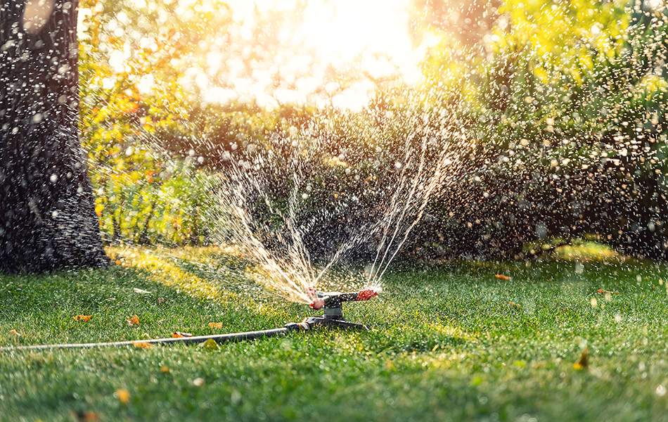 garden watering system