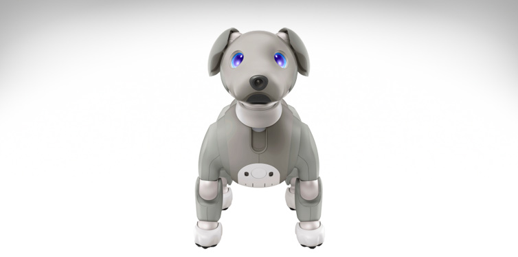 sony aibo black sesame edition the robotic puppy