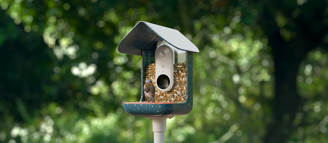 Bird Buddy Smart Bird Feeder Brings All The Birds To The Yard GearHungry
