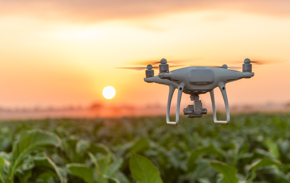 drone and sunset faq