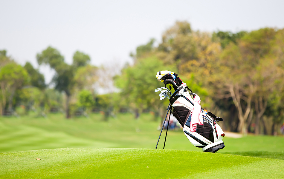 golf clubs in golf bag