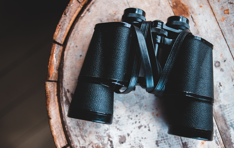 Best Hunting Binoculars of 2022 [Buying Guide] Gear Hungry