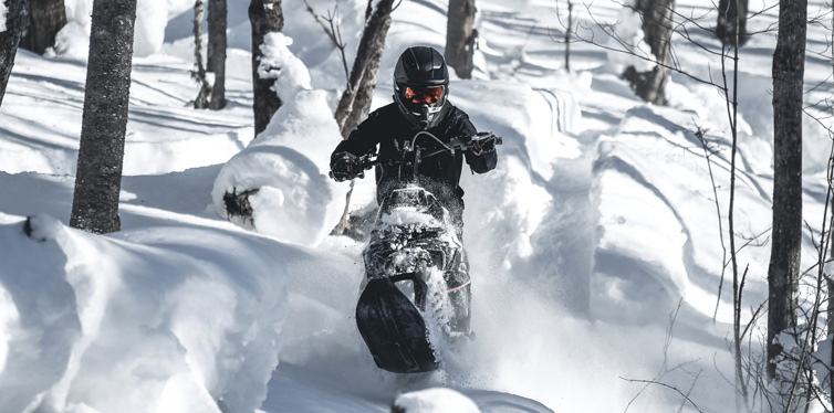 widescape ws250 stand-up snowmobile: the first of its kind