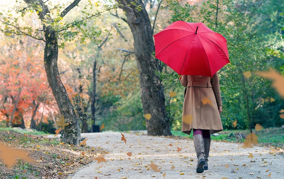 best umbrella