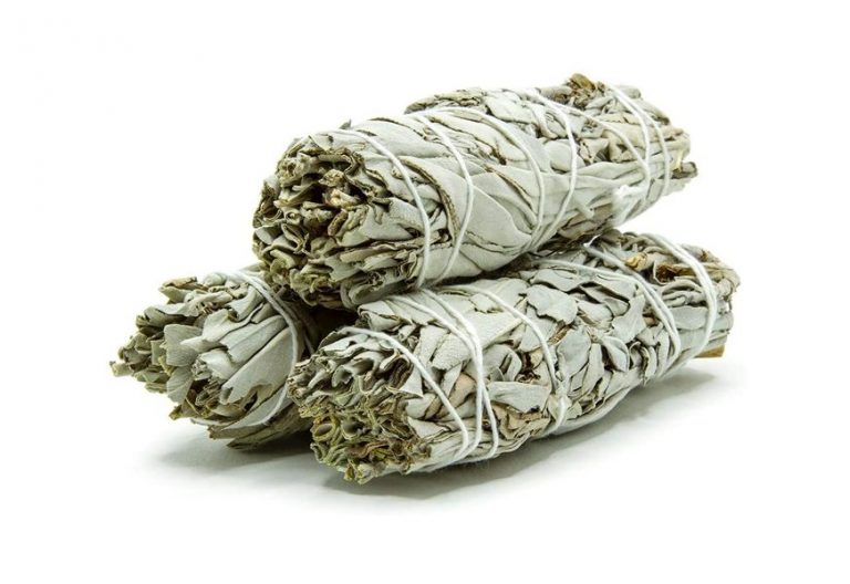 Best Incense In 2022 [Buying Guide] Gear Hungry