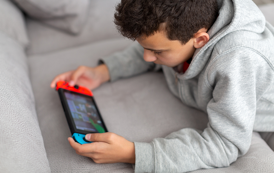 nintendo switch case