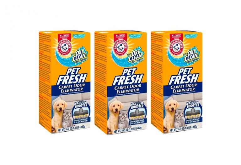 Best Carpet Powders In 2022 [Buying Guide] Gear Hungry