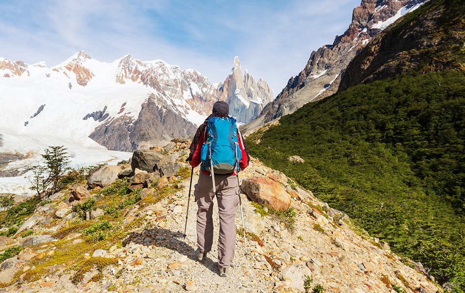 patagonia backpack 