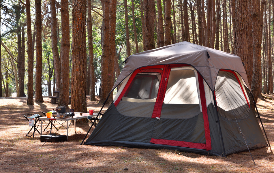 coleman tent faq