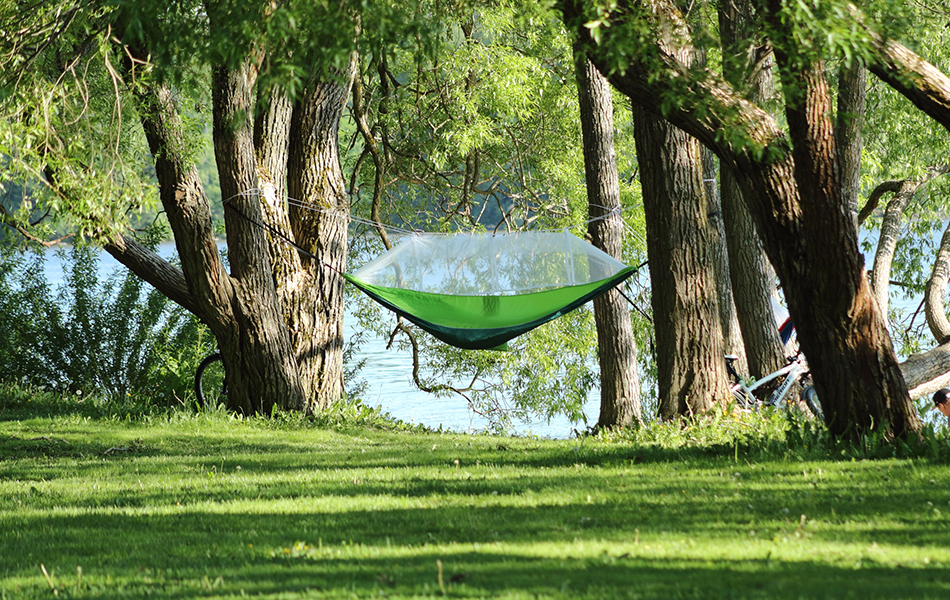 mosquito hammock