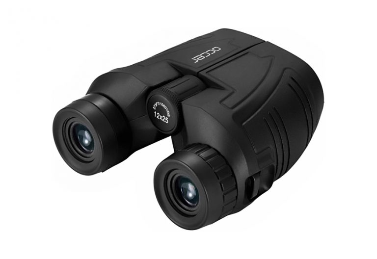 Best Compact Binoculars in 2022 [Buying Guide] Gear Hungry