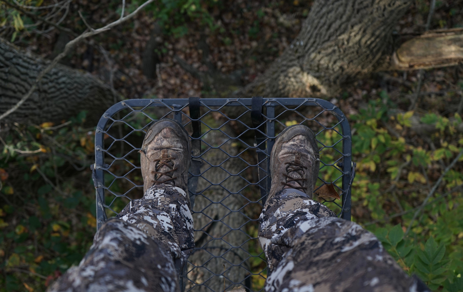 tree stand