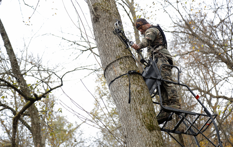 tree stand