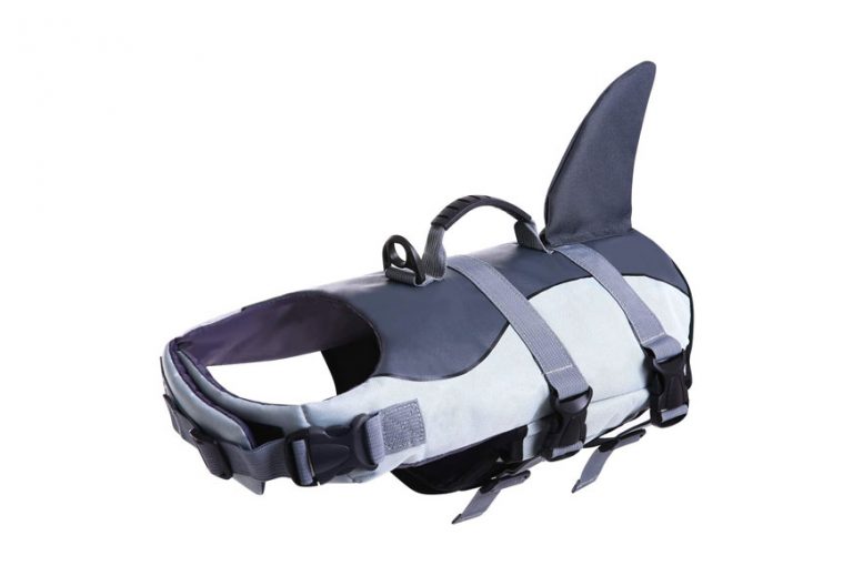 Best Dog Life Jackets In 2022 [Buying Guide] Gear Hungry