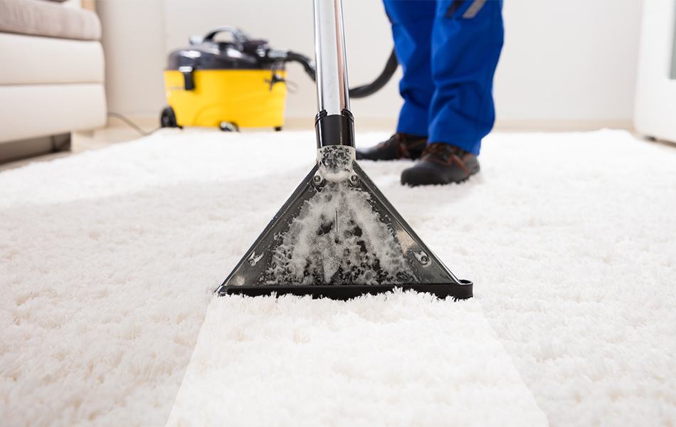 carpet cleaner