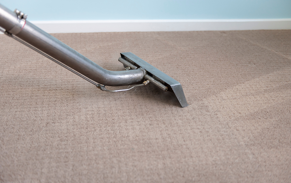 carpet cleaner