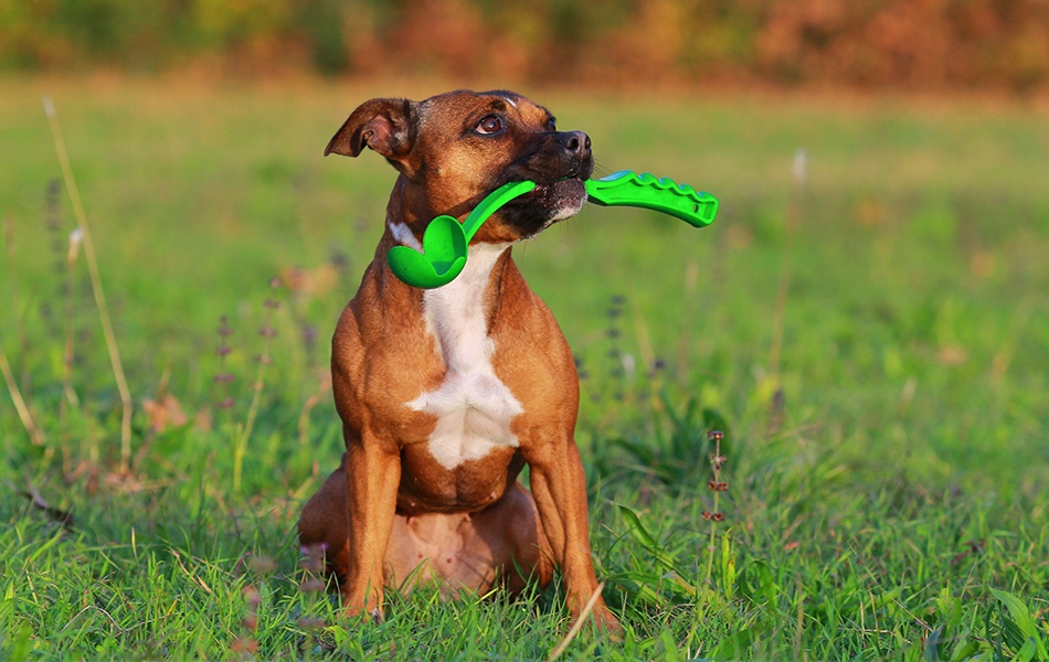 dog ball launcher