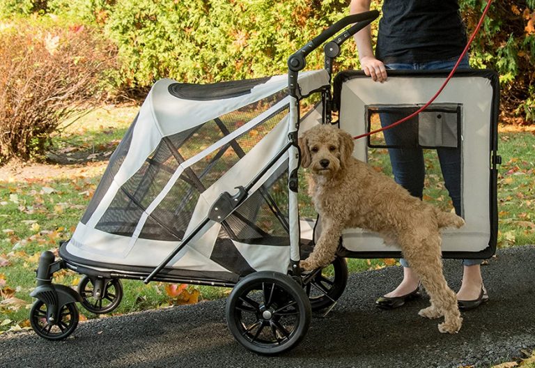 Best Pet Strollers In 2022 [Buying Guide] Gear Hungry