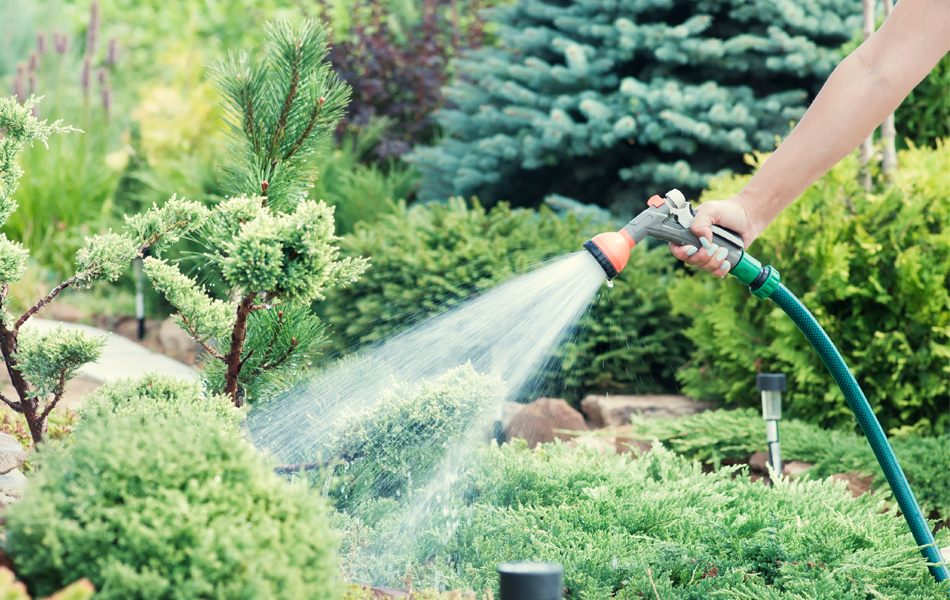 using a garden hose