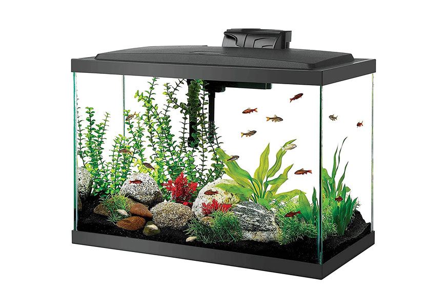 aqueon aquarium fish tank kit