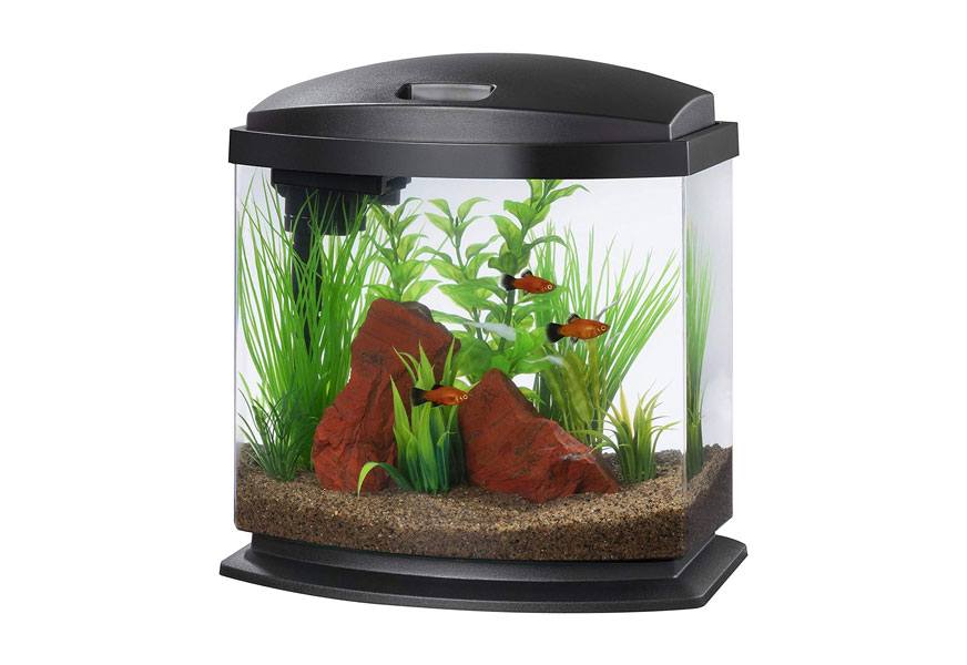 aqueon led minibow aquarium starter kits