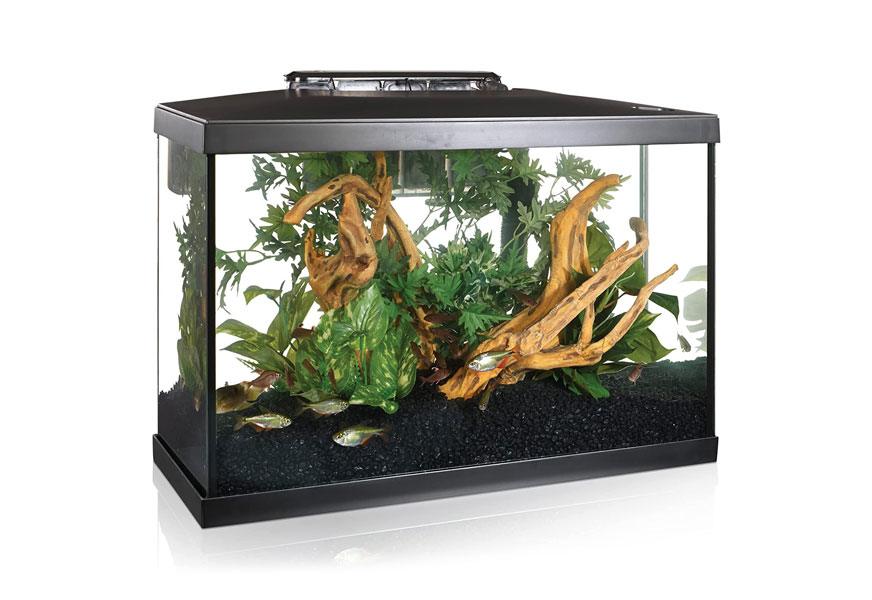 Best Goldfish Tanks In 2022 [Buying Guide] – Gear Hungry