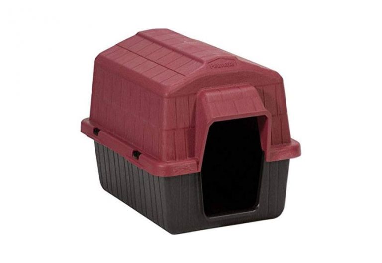 Best Outdoor Dog Houses In 2022 [Buying Guide] Gear Hungry