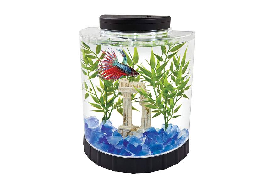 tetra led half moon betta goldfish tank