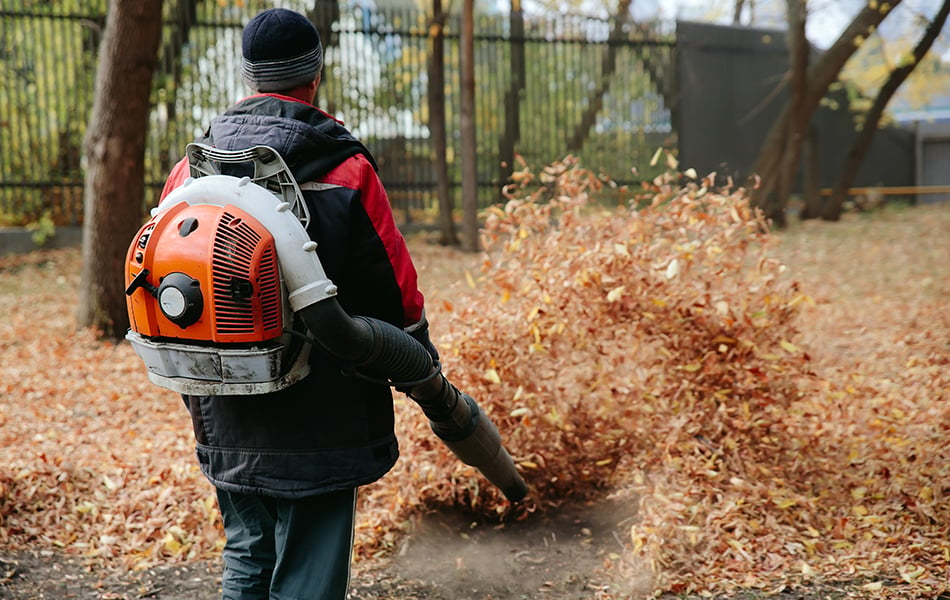 backpack leaf blower